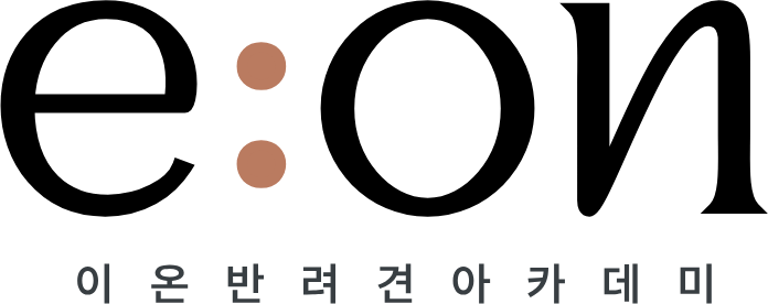 e:on 이온반려견아카데미